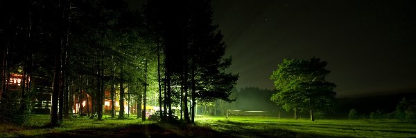 Ośrodek, Boisko, Wypoczynkowy, Samochody, Drzewa