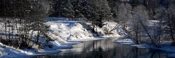 Zima, Las, Rzeka