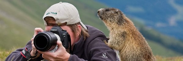 Świstak, Fotograf