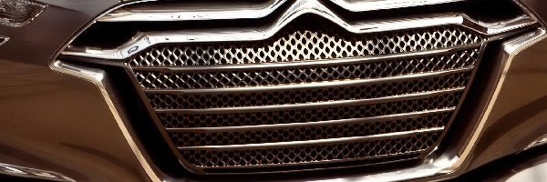 Grill, Citroen Metropolis