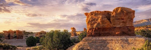 Krzaczki, Skały