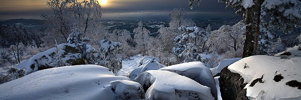 Słońca, Kamienie, Drzewa, Zachód