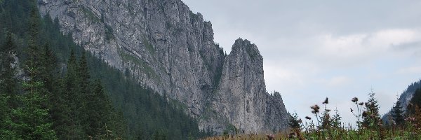 Szczyty, Dolina Kościeliska, Tatry