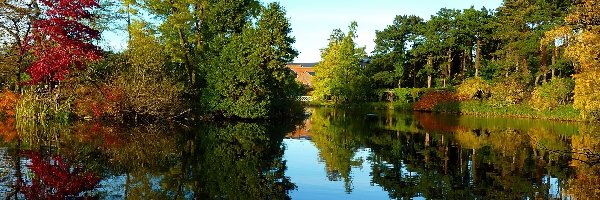 Park, Odbicie, Jeziorko, Jesień