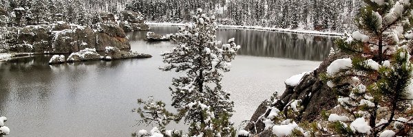 Śnieg, Drzewa, Jezioro