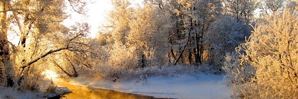 Ośnieżone, Zima, Drzewa, Rzeka