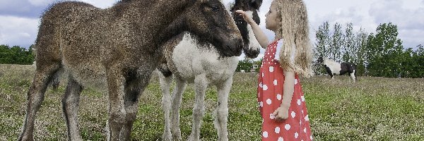 Źrebaki, Dziewczynka, Łąka