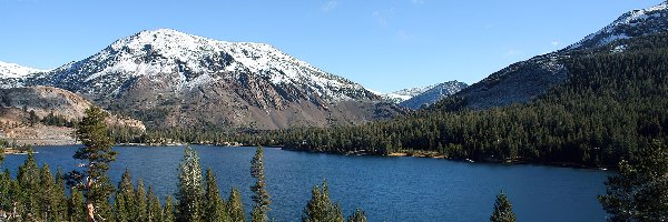 Drzewa, Park Narodowy Yosemite, Jezioro, Góry, Stan Kalifornia, Stany Zjednoczone