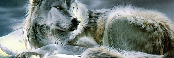 Wilk