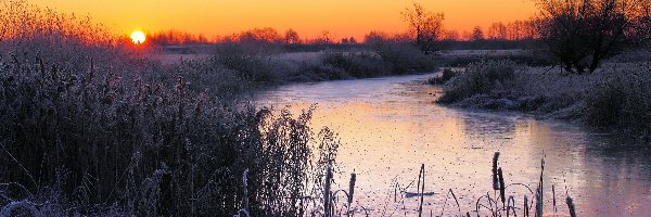 Słońca, Krzewy, Wschód, Zima, Pola, Rzeka