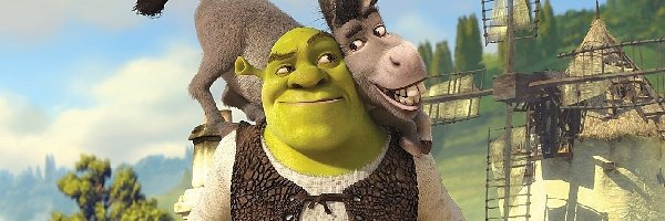 Osiołek, Shrek