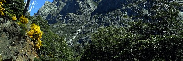 Rowerzysta, Góry, Droga