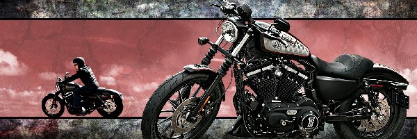 Motocyklista, Motocykl, Harley-Davidson XL883N Iron