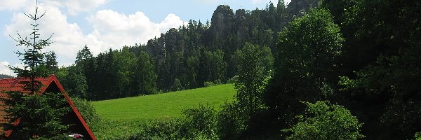 Łąka, Las, Domek, Czechy, Adrspach