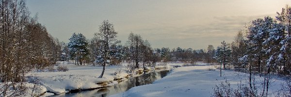 Śnieg, Zima, Drzewa, Rzeka