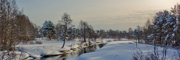 Śnieg, Zima, Drzewa, Rzeka