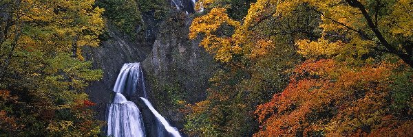 Wodospad, Drzewa, Skały, Jesień