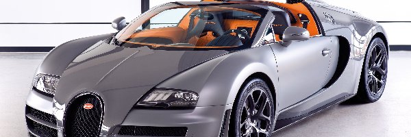 Bugatti Veyron, Srebrne