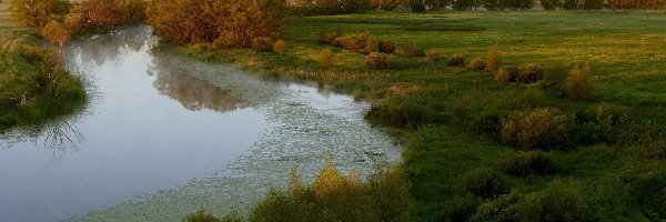 Panorama, Pola, Drzewa, Jesień, Łąki, Rzeka