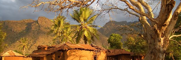 Góry, Drzewo, Wioska, Tanzania, Mieszkańcy