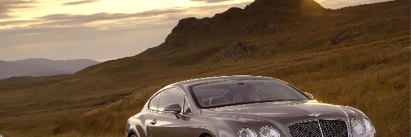 Maska, Bentley Continental GT