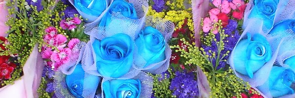 Róże, Niebieskie, Bukiety