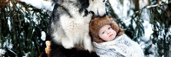 Siberian Husky, Dziecko, Zima