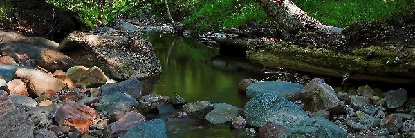 Rzeka, Kamienie, Drzewa, Górska