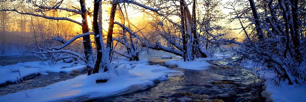 Zachód Słońca, Rzeka, Śnieg, Drzewa