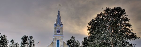 Zima, Drzewa, Kościółek, Kanada, Alberta