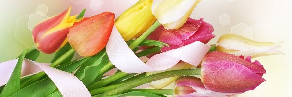 Wstążka, Tulipanów, Bukiet