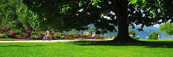 Park, Austria, Spacerowicze, Lato
