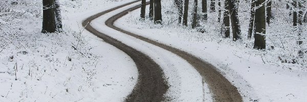 Zima, Zakręt, Droga, Śnieg, Las