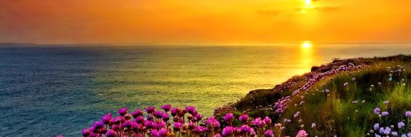Kwiaty, Zachód Słońca, Morze