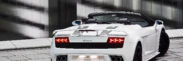 Gallardo