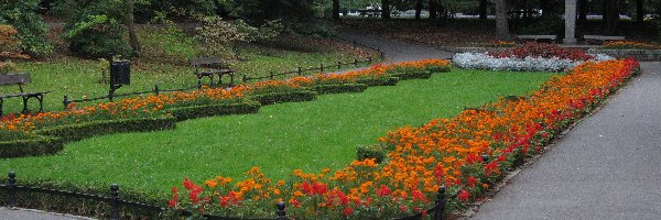 Kwiaty, Park