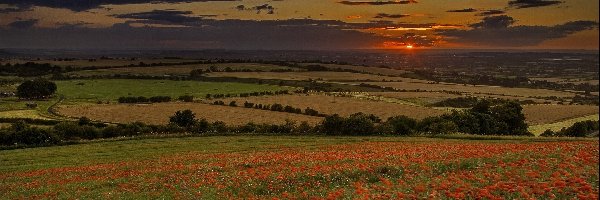 Pola, Zachód, Łąki, Panorama, Słońca