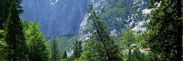 Stan Kalifornia, Góry, Park Narodowy Yosemite, Stany Zjednoczone