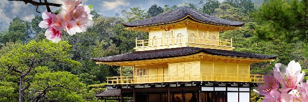 Drzewa, Złoty Pawilon, Gałązki, Okwiecone, Staw Kyko chi, Kioto, Japonia, Świątynia Kinkakuji